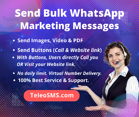 Teleo SMS Bulk WhatsApp 3